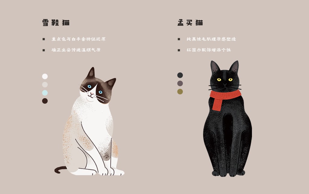 飞屋睿原创扁平风手绘插画案例 科普信息图插画设计 猫咪的种类 雪鞋猫与孟买猫形象细节解析