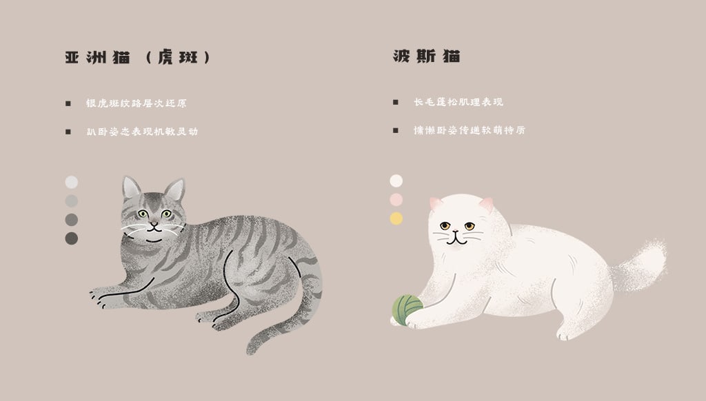 飞屋睿原创扁平风手绘插画案例 科普信息图插画设计 猫咪的种类 亚洲猫与波斯猫形象细节解析