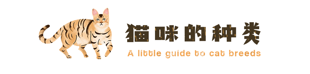 飞屋睿原创扁平风手绘插画案例 科普信息图插画设计 猫咪的种类 标题图