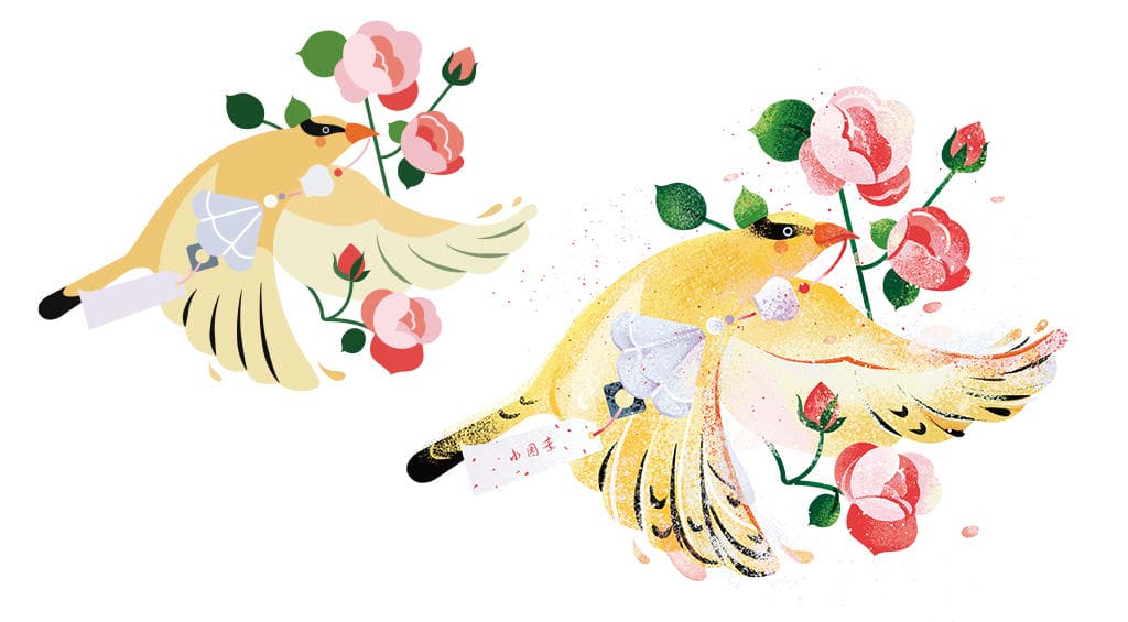 小园素的创作笔记配图：添加丰富肌理细节的玫瑰飞鸟扁平风插画